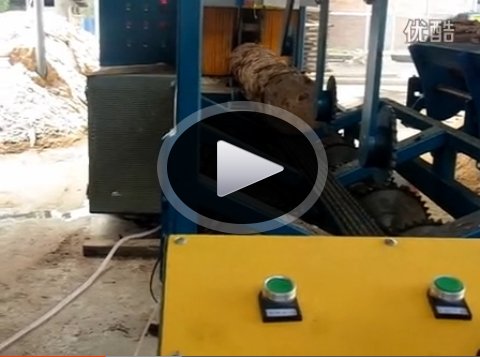 原木多片鋸400型自動(dòng)翻料進(jìn)料 湖南邵陽(yáng)加工現(xiàn)場(chǎng)