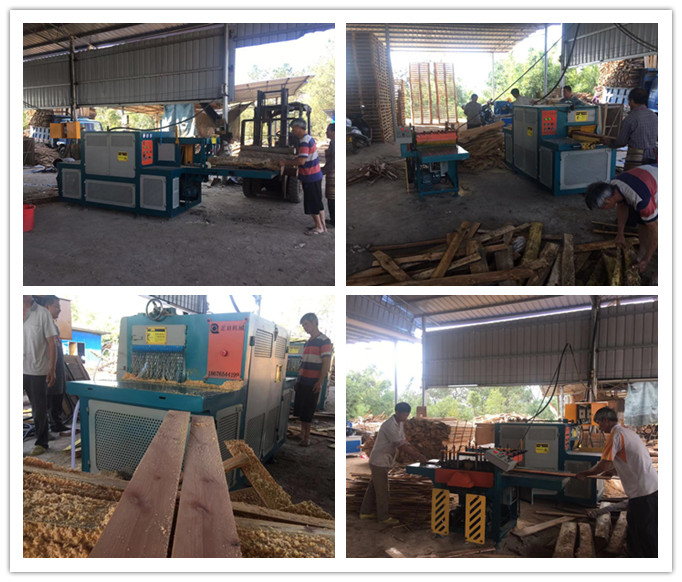 2018年12月原木多片鋸、方木多片鋸、清邊機在廣西梧州現場工