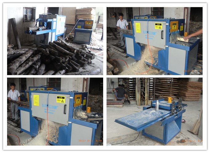 安徽蕪湖-原木多片鋸、清邊機工作圖