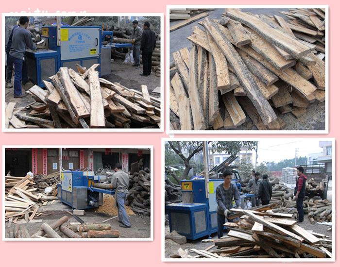 廣西-賀州-鋸扎木20原木多片鋸加工現場