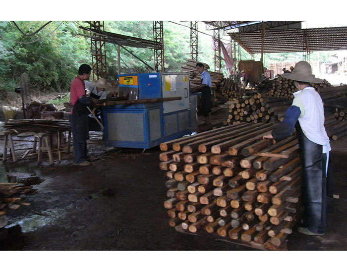 廣東-梅州-250圓木多片鋸加工現場