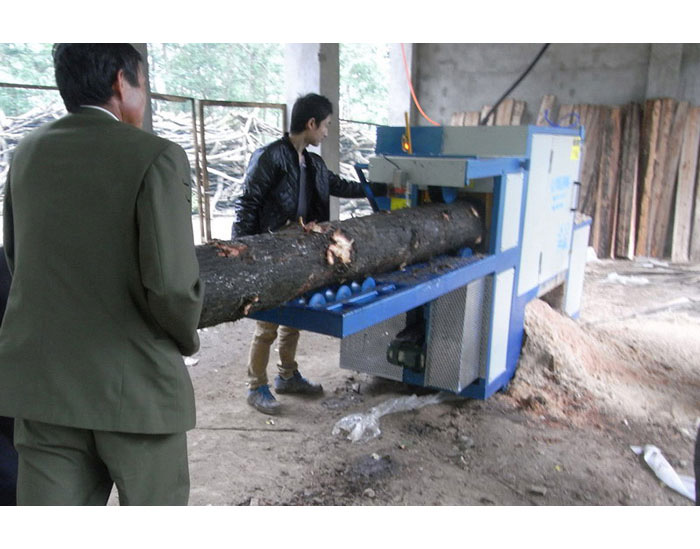 湖南省岳陽市-250圓木多片鋸加工現場