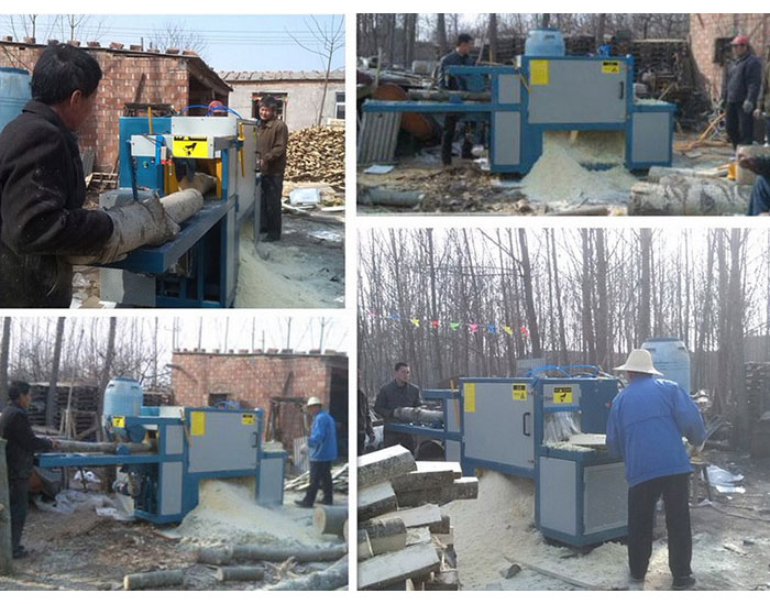 原木多片鋸-河北-石家莊-辛集市-加工現場